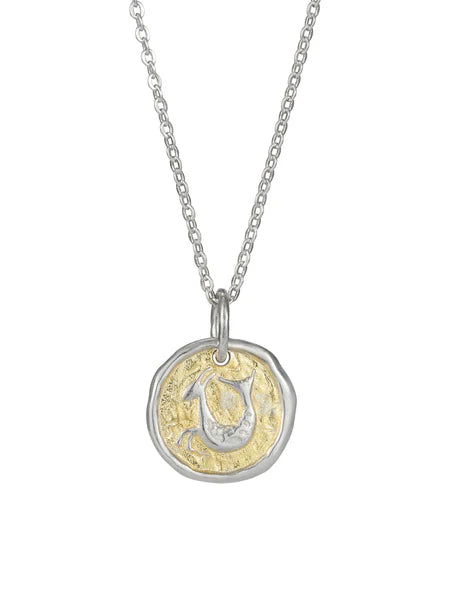 Sterling Silver 18ct Gold Plated Zodiac Star Sign Necklace